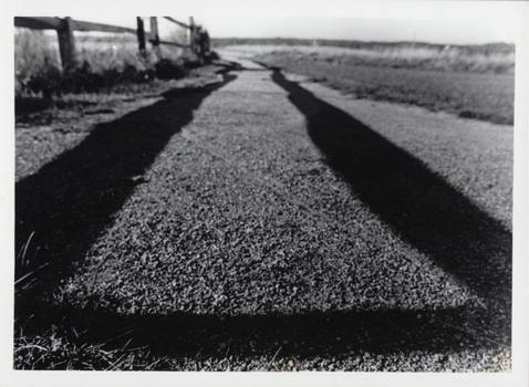 Walking along a fence