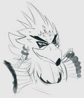 (Stream) Teba is Best Bird