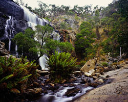 McLean Falls II