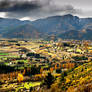 Otago Autumn I