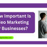 How Important Is Video Marketing For Businesses?