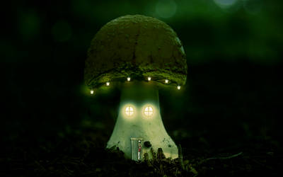 Magic mushroom