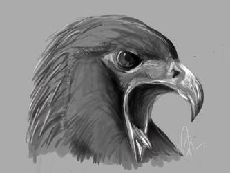 Eagle