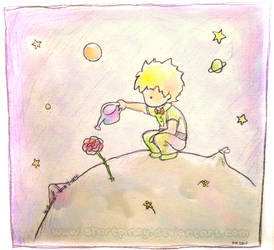 Day 306: Le Petit Prince