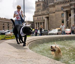 fountain