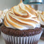 S'mores Cupcakes