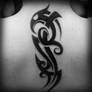 Tribal