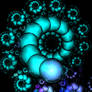 Neptunes Shell