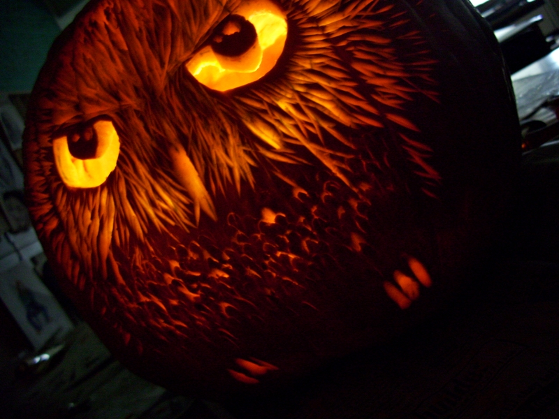 owl pumpkin