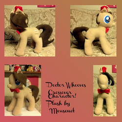 Doctor Whooves for the Travelling Pony Museum!