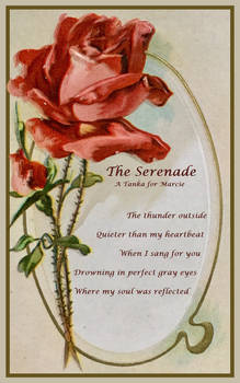 The Serenade - Visual Version