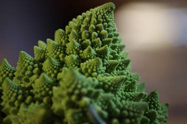 Romanesco-143