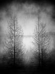 Dissociative Identity Disorder by C-IP