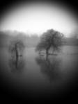 Bonjour Tristesse by C-IP