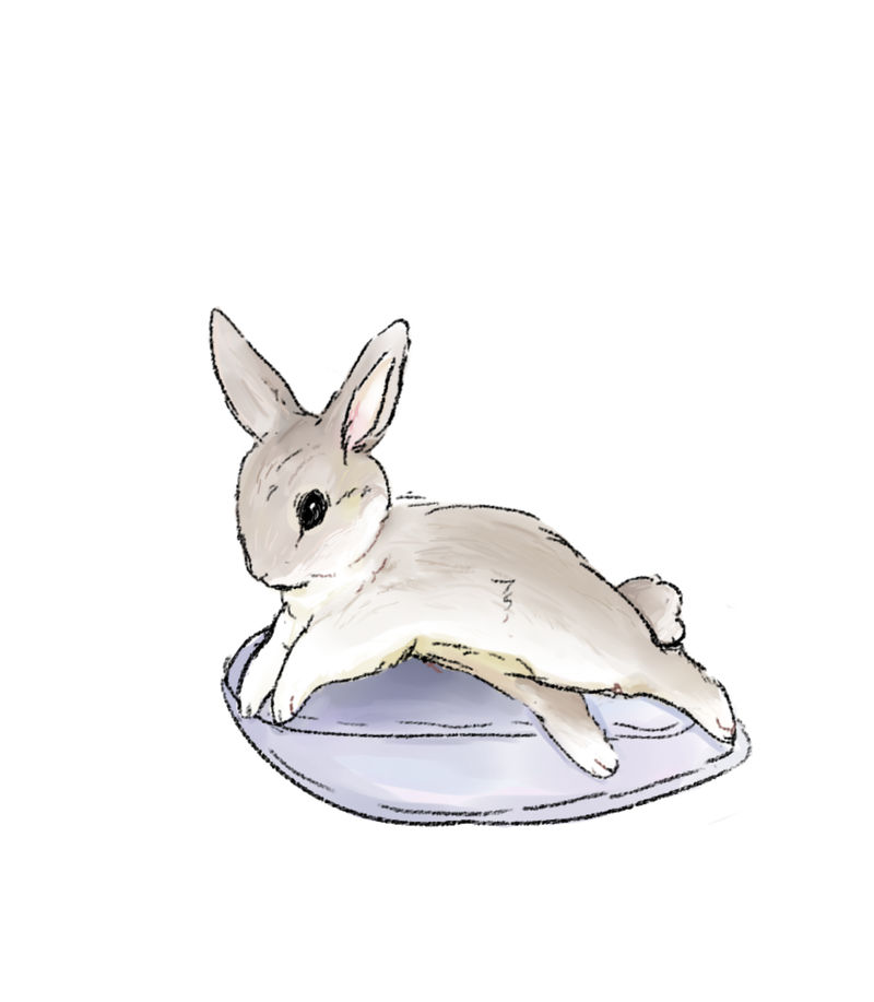 A Dream Rabbit by KeenuLeennu on DeviantArt