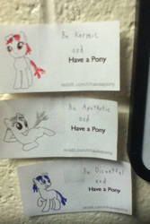Reddit Ponies