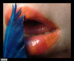 Feathery Lips by Rykan-