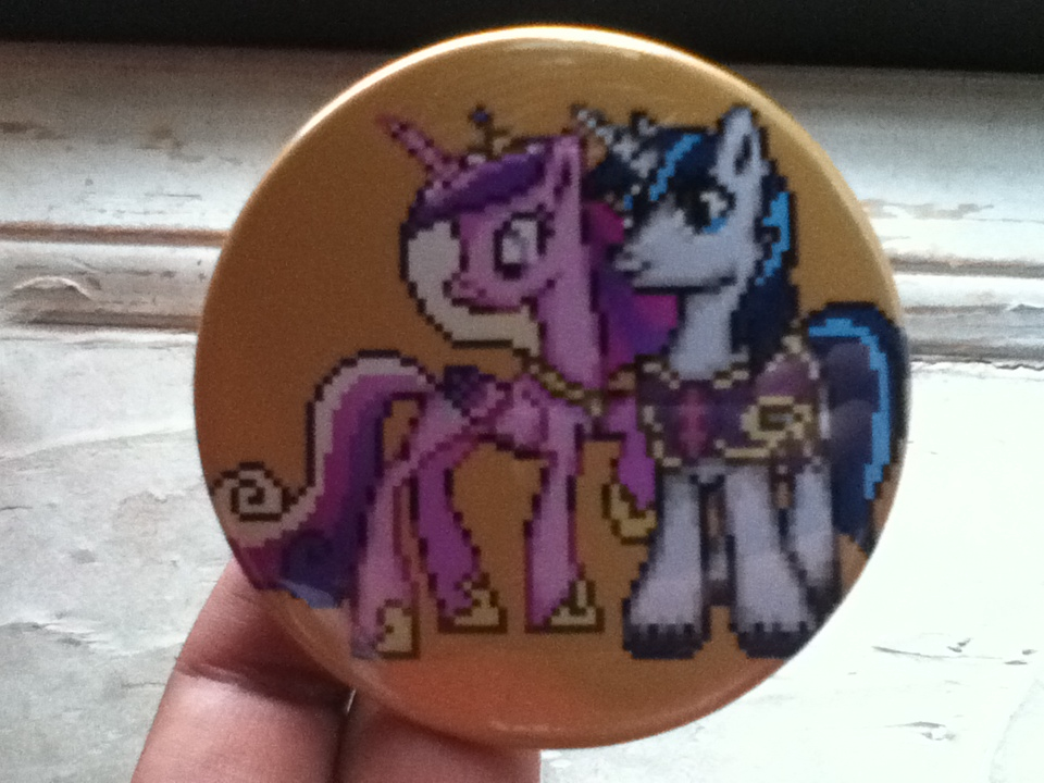 A Wild Cadance nd Shining Armor Pixel Pin Appeared