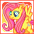 MLP Avvy Icon : Fluttershy