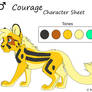 Courage Character Sheet