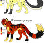 Loya Kingdom Officials Ref Sheet