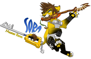 Sora Master Form