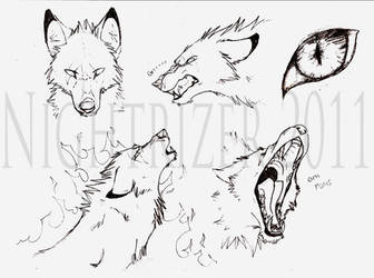 Baskabar Wolf Sketches