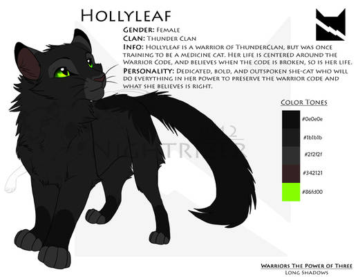 Hollyleaf Character Sheet