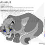 Ashfur Character Sheet