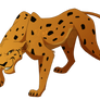 TLK Cheetah