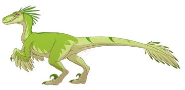 Kayrea Velociraptor