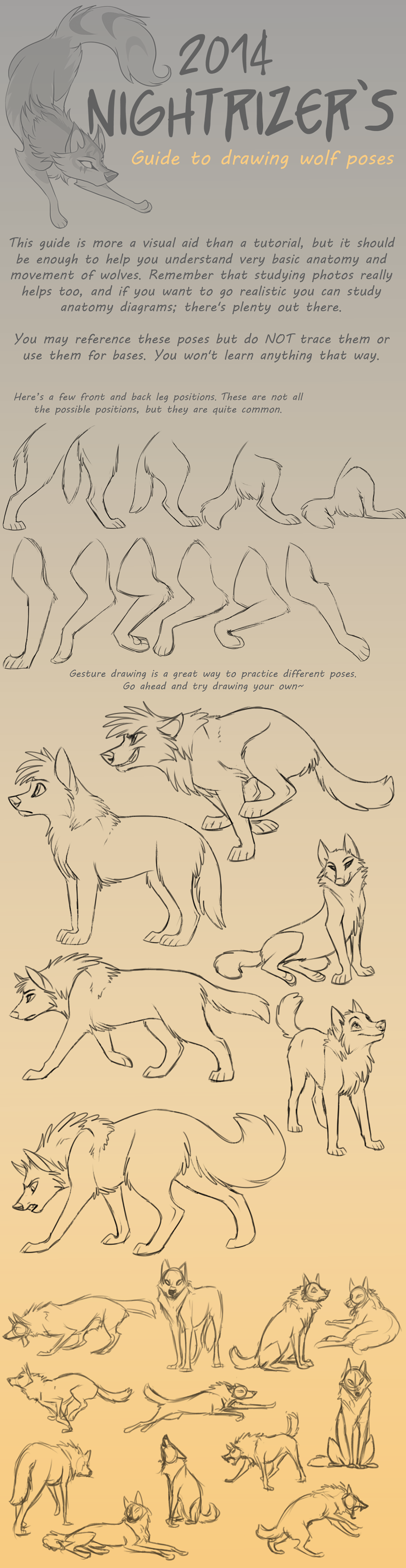 Guide to Drawing Wolf Poses