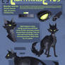 Lightningeyes Reference Sheet