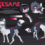 Sesame Reference Sheet