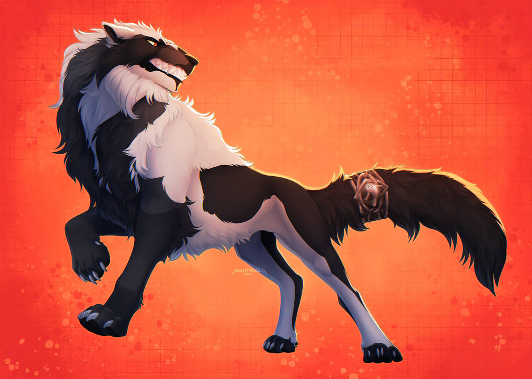 Zander by Nightrizer on DeviantArt