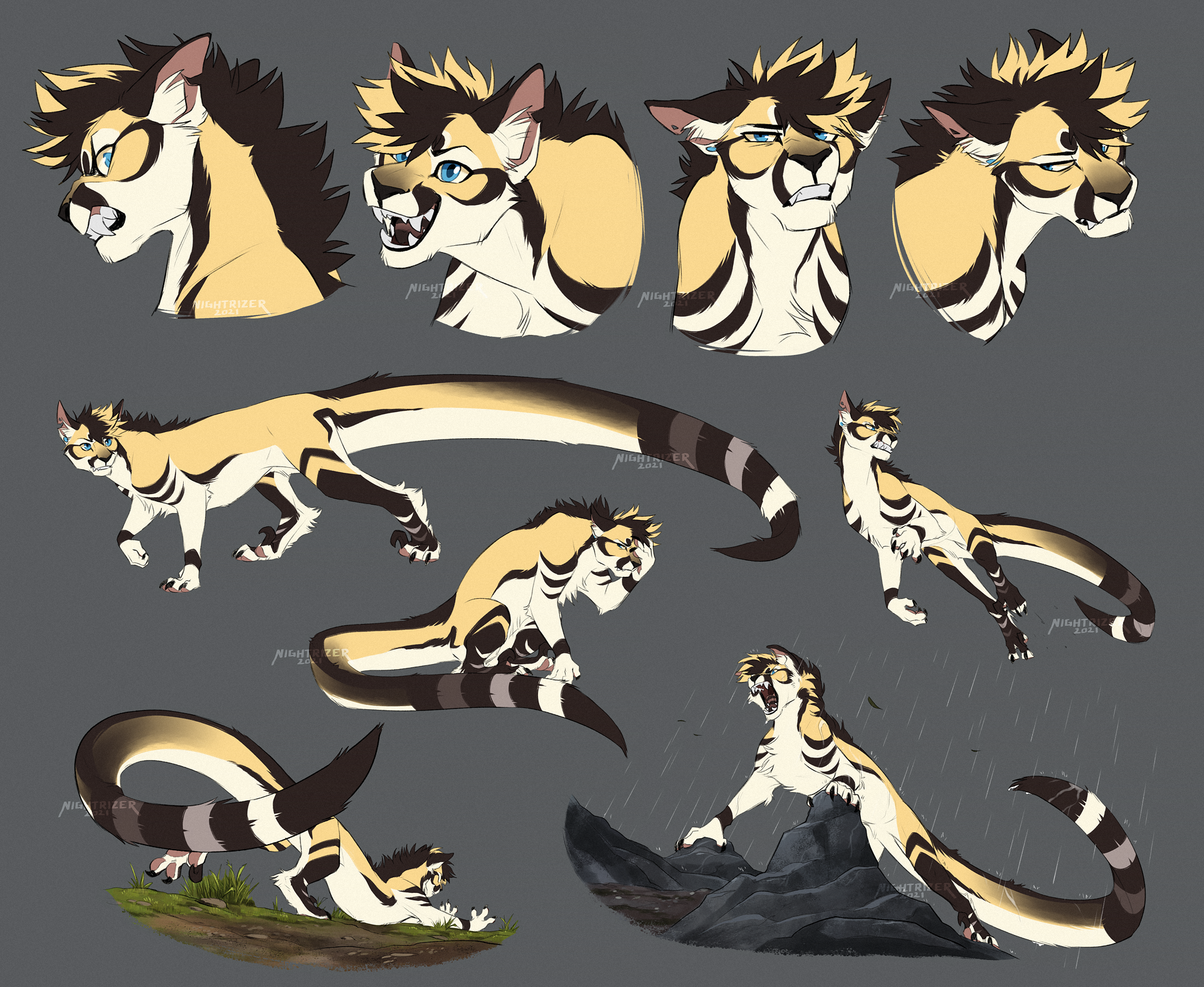 Jayfeather Character Sheet by Nightrizer on DeviantArt