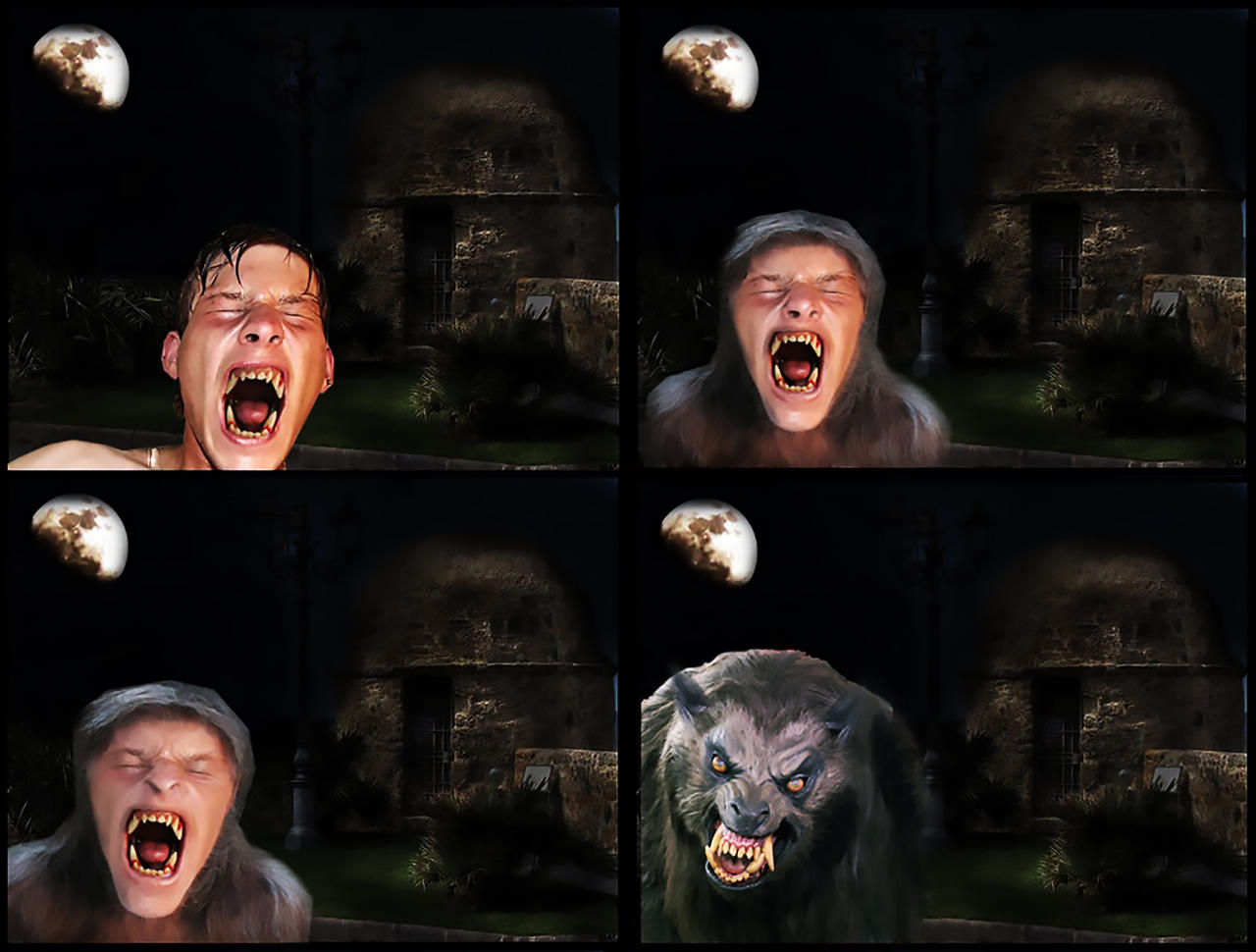Werewolf Transformation (2020) by Bogotaman on DeviantArt