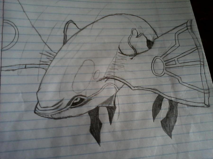 Kyogre Drawing by SparvieroX on DeviantArt