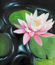 Waterlily