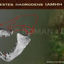 Mongolestes hadrodens head restoration