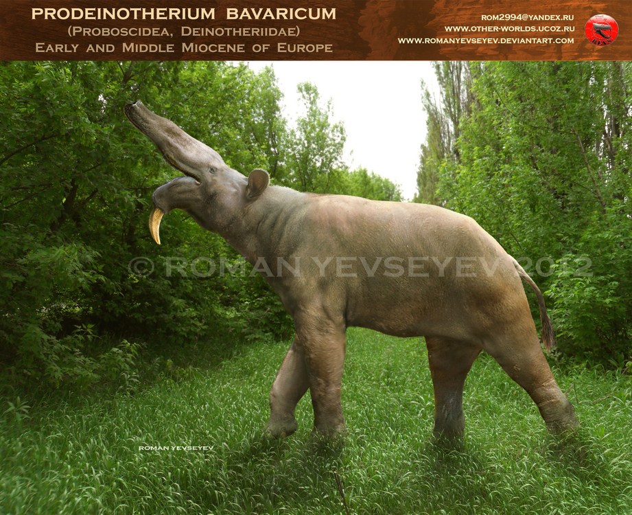 Prodeinotherium bavaricum