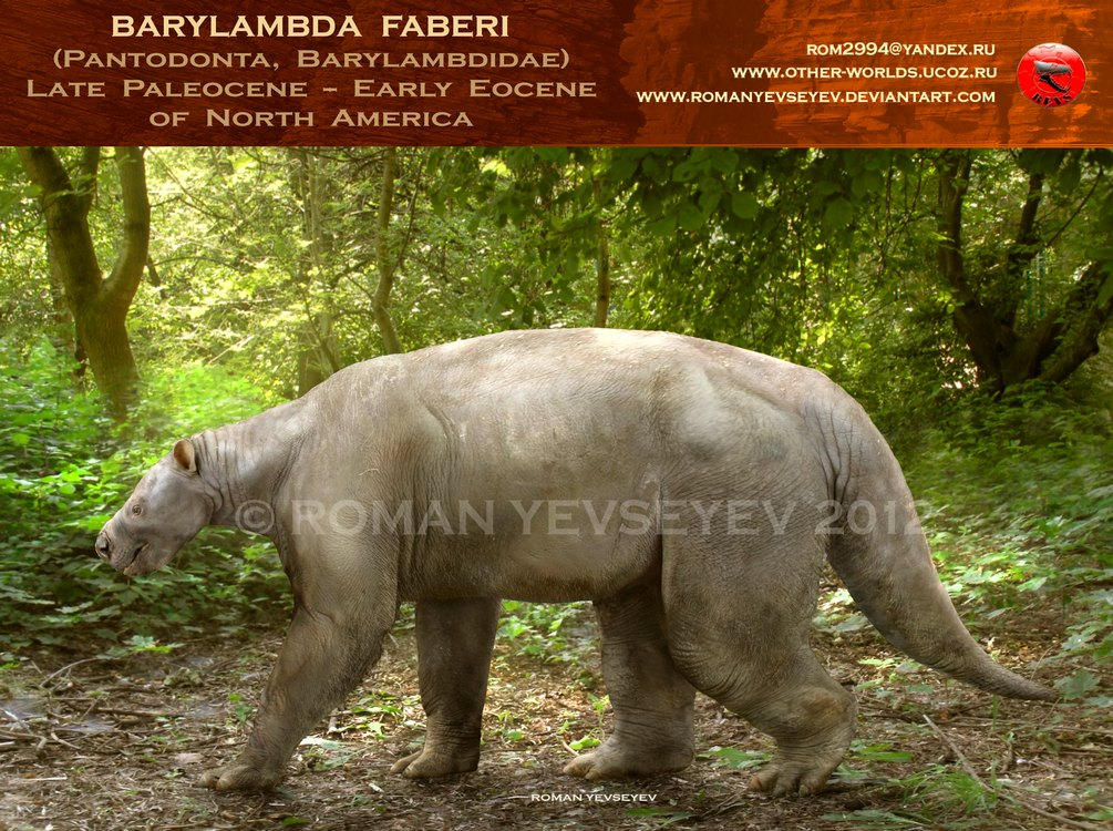 Dead Barylambda Barylambda faberi by RomanYevseyev on DeviantArt