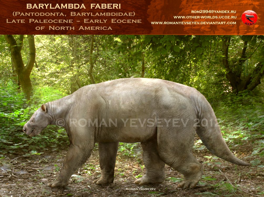 Animals Barylambda Barylambda faberi by RomanYevseyev on DeviantArt