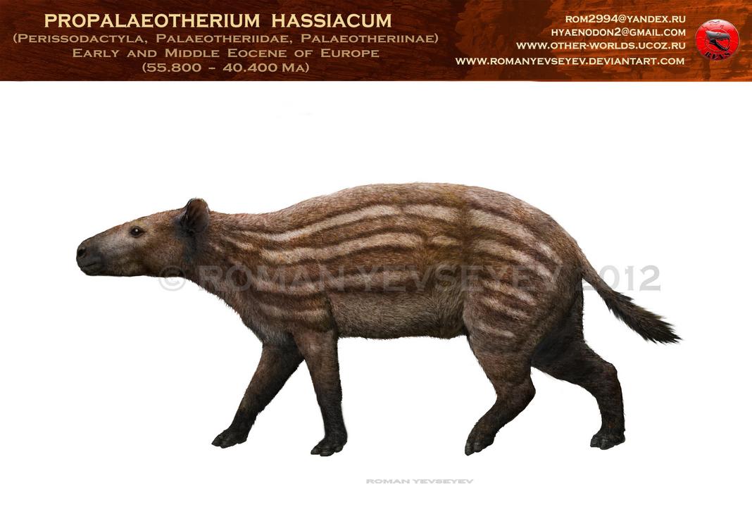 Propalaeotherium