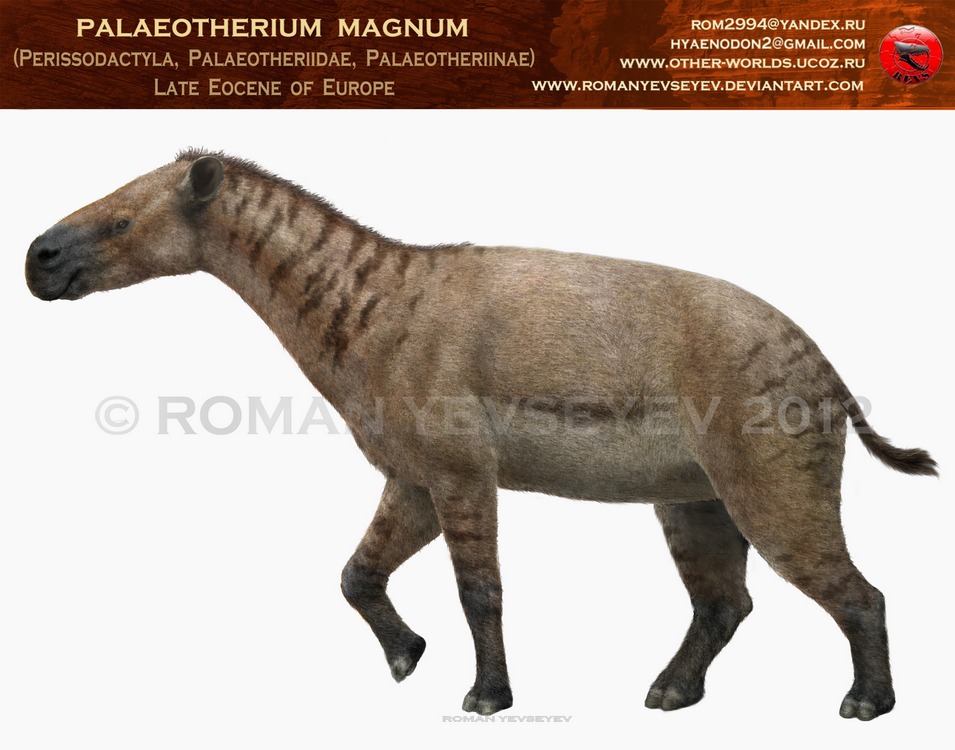 Paleotherium