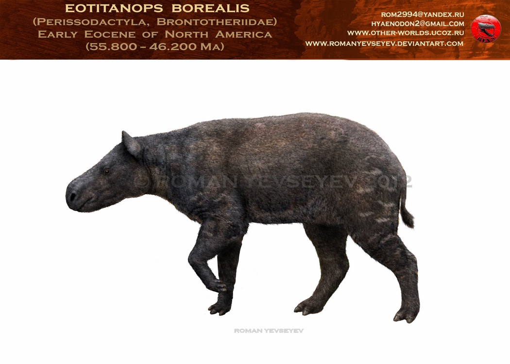 Eotitanops