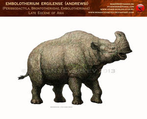 Embolotherium ergilense