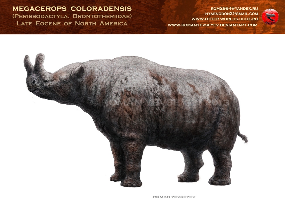 Megacerops coloradensis