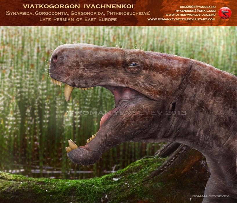 ivakhnenkoi head by RomanYevseyev on DeviantArt