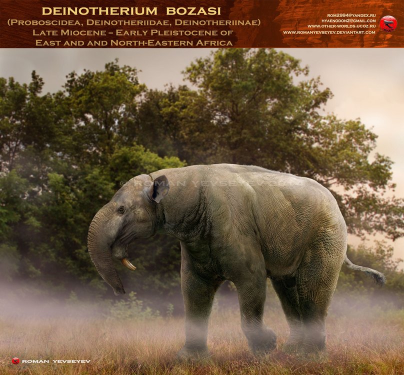 Deinotherium bozasi